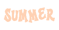 ashleypresley summer lettering word letter Sticker