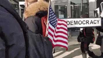 Voting Rights GIF by Black Voters Matter Fund