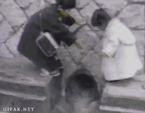 omar50020 giphyupload GIF