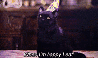 salem GIF