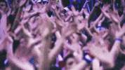 american outlaws GIF by U.S. Soccer Federation