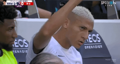 highansol93 giphyupload GIF