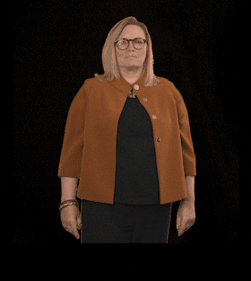 fdpfraktionlsa giphyupload fdplsa ktarricone tarricone GIF