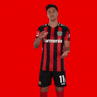 Sarcastic Nadiem Amiri GIF by Bayer 04 Leverkusen