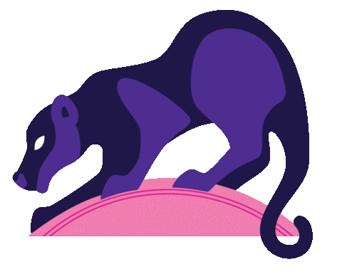 Big Cat Jaguar Sticker by Erstwilder