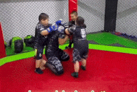 Panda Uzbek GIF