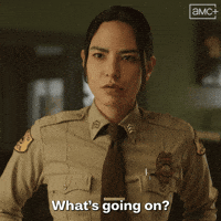 Whats Up Television GIF by AMC Networks