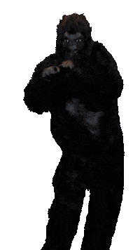 Frank Sticker by Online Monkeys