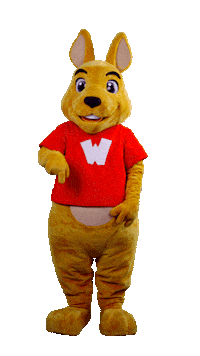 WalibiRA vote here click voter Sticker