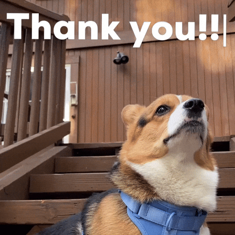Dog Thank You GIF