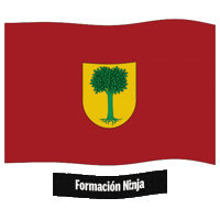 Flag Spain Sticker by Formación Ninja