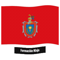 Flag Spain Sticker by Formación Ninja