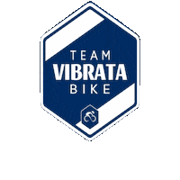 Vb Sticker by ASD Vibrata Bike