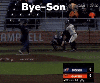 Bucknell GIF by BucknellBaseball