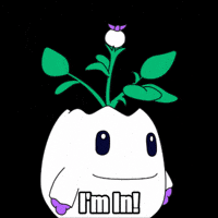 You Got It Yes GIF by Magic Eden