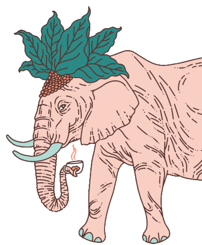 somaho_speciality_coffee giphyupload coffee elephant kaffee Sticker