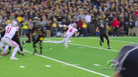 hawks GIF by University of Iowa Hawkeyes Athletics