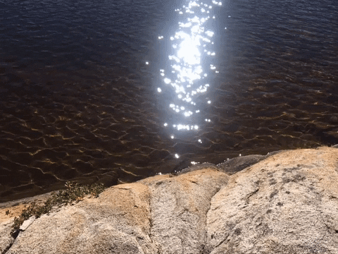 Sparkles GIF by Justin
