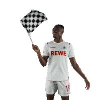 Fc Cologne Bundesliga Sticker by 1. FC Köln