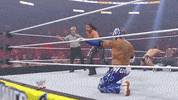 wwe sports wwe wrestling 2011 GIF