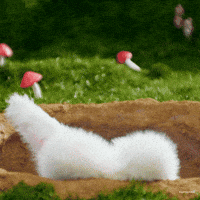 haishatp twice misamo haishatp mitantp GIF