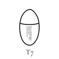 Beauty Face Sticker by Lisa Eldridge