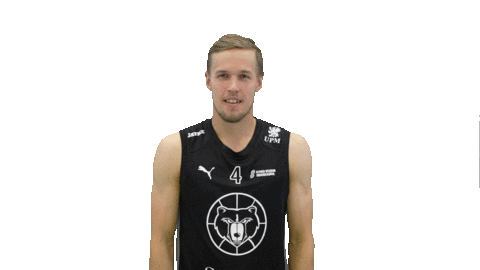 Sport Basketball Sticker by Basket_fi