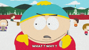 confused eric cartman GIF by South Park 