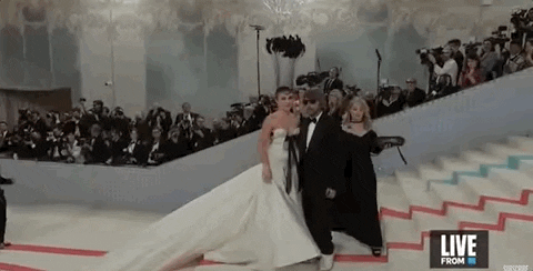 Met Gala GIF by E!