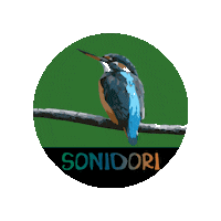 ソニドリ Sticker by SONIDORI