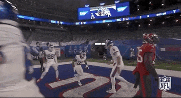 New York Giants Football GIF by NFL