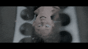 GIF by Sony Music Colombia