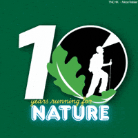 Trail Run Hiking GIF by The Nature Conservancy Hong Kong