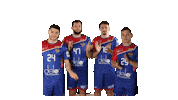 National Team Sport Sticker by Rushandball