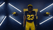 Go Blue College Football GIF by Michigan Athletics