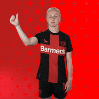 Bayer 04 No GIF by Bayer 04 Leverkusen