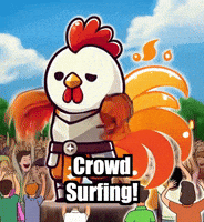 Music Festival Concert GIF by Zorooster