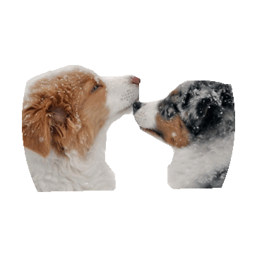 dog STICKER by imoji