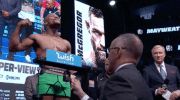 ufc mayweather vs mcgregor mayweathermcgregor mayweather  mcgregor GIF