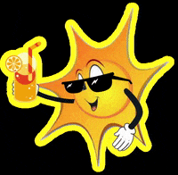 beiraamarrio sol rio praia verao GIF