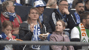Football Hello GIF by FC Schalke 04