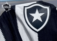 Botafogo De Futebol E Regatas Bfr GIF