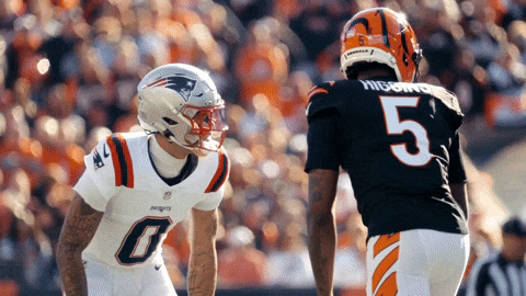 Football Stare Down GIF by New England Patriots