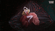 Taylor Swift Sleeping GIF by Destripando la Historia