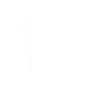 Neurologist Sticker by American Academy of Neurology