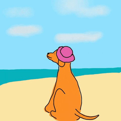 GIF by Nat