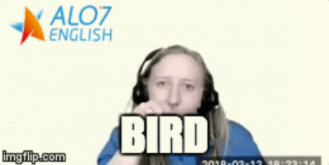 bird total physical response GIF by ALO7.com