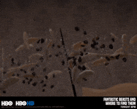 Food Magic GIF by HBO India