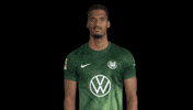 Germany Love GIF by VfL Wolfsburg