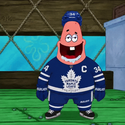 Toronto Maple Leafs GIF